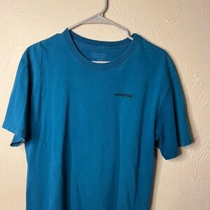 Patagonia T-shirt